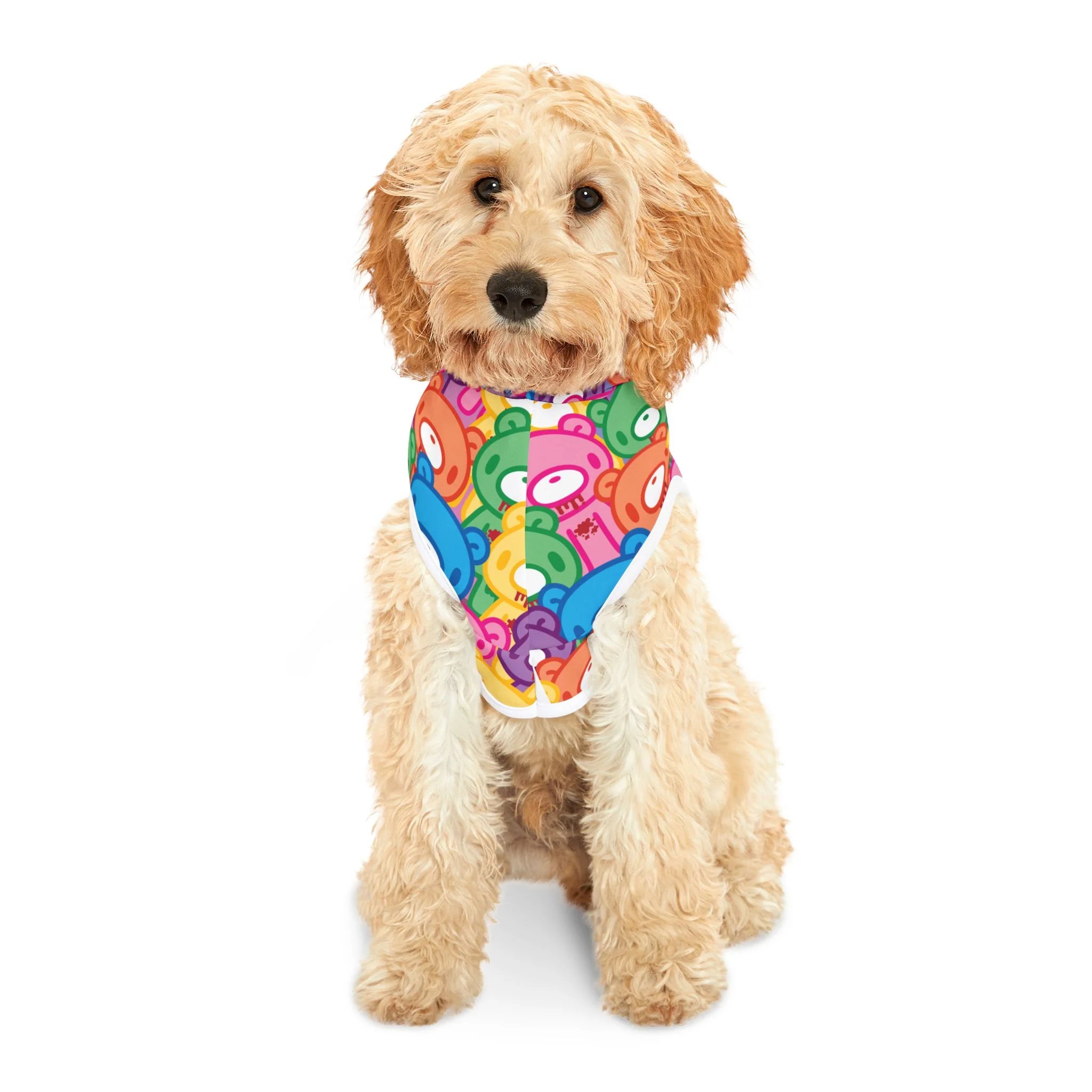 Gloomy Bear "Rainbow Dreams" Pet Hoodie - Image 4
