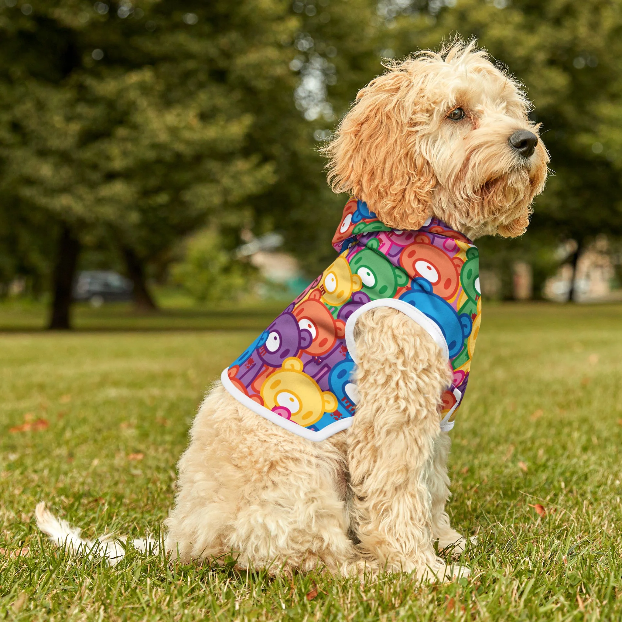 Gloomy Bear "Rainbow Dreams" Pet Hoodie - Image 8